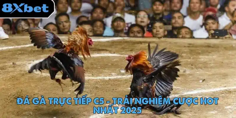 da-ga-truc-tiep-c5